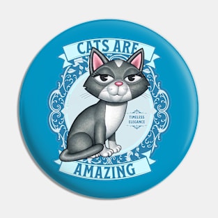 Cute Gray White Kitty Cat on Teal Cats are Amazing Pin