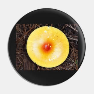 Brightly colored orange Amanita mushroom Pin