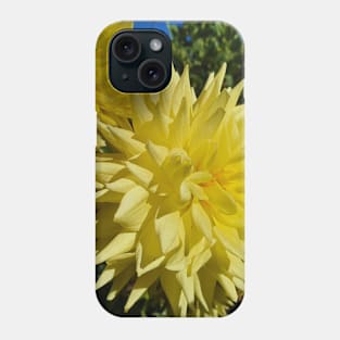 Yellow Dahlias Phone Case