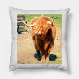 Heilan Coo II Pillow