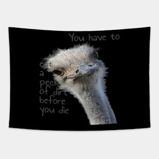 You Have To Eat A Peck Of Dirt Before You Die Tapestry