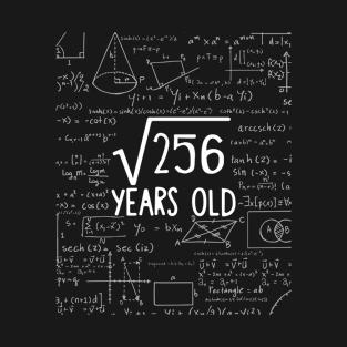 Square Root of 256: 16th Birthday 16 Years Old T-Shirt T-Shirt