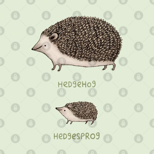 Hedgehog Hedgesprog by Sophie Corrigan