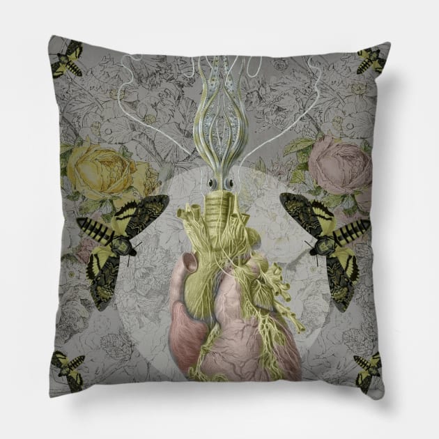 Mothball Pillow by FormsMostBeautiful