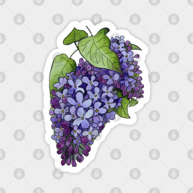 Luminous Lilacs Magnet by Kirsty Topps