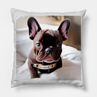 Snuggly and Adorable: A Close-Up Portrait of a Blue Brindle French Bulldog Puppy Waking Up Pillow