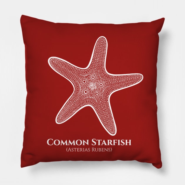 Common Starfish with Common and Scientific Names - beach design Pillow by Green Paladin
