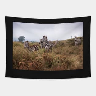 Serengeti Zebras #1 Tapestry