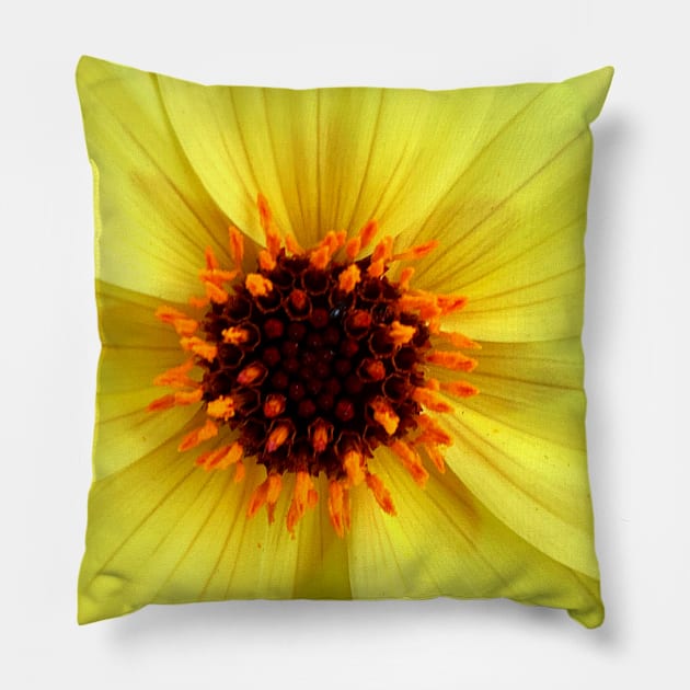 Yellow Dahlia Flower Pillow by EdenLiving