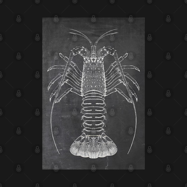 Lobster Chalkboard by JoolyA