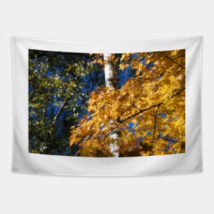 Autumn Forest Tapestry