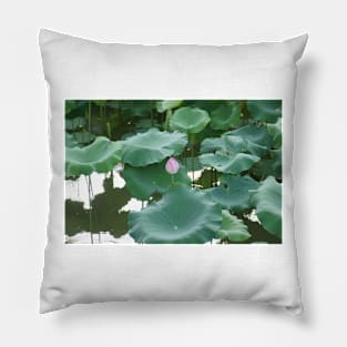 Lotus in Shinjuku Gyoen National Garden Pillow