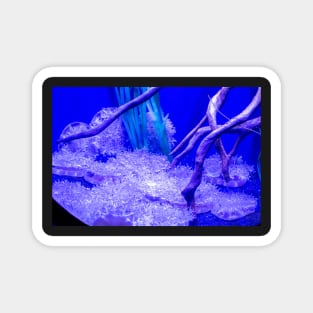 Upside-down jellyfish in blue ligh Magnet