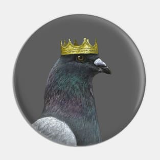 Rock dove Pin