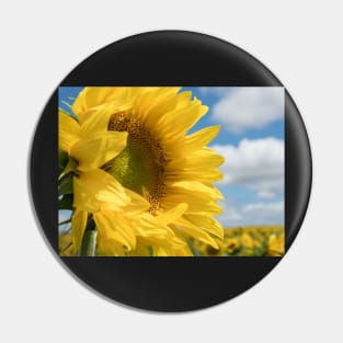 The Sunflower Pin