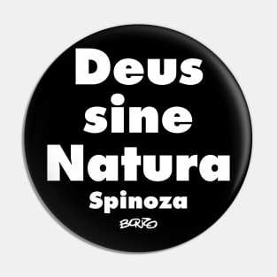 Spinoza 1 Pin