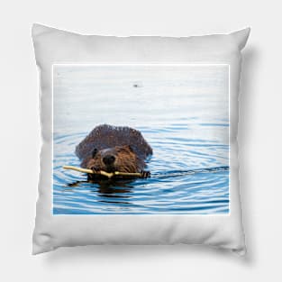 Beaver Eating Pillow