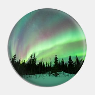 Rainbow Aurora Borealis in a Black Spruce Forest in Alaska Pin