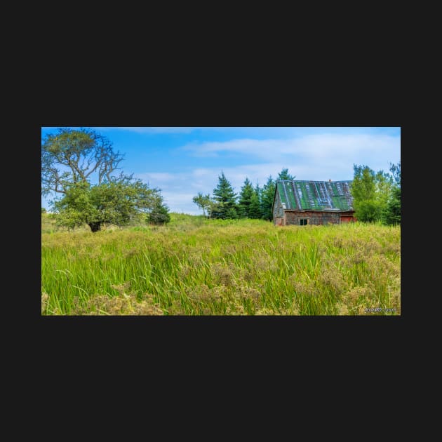 Abandoned House in Feltzen South by kenmo