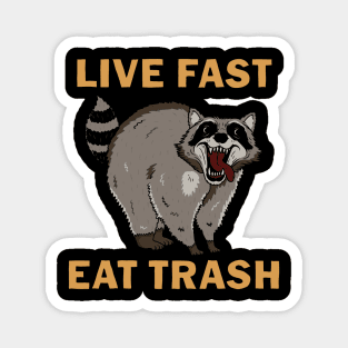 Raccoon - Live Fast Eat Trash Magnet