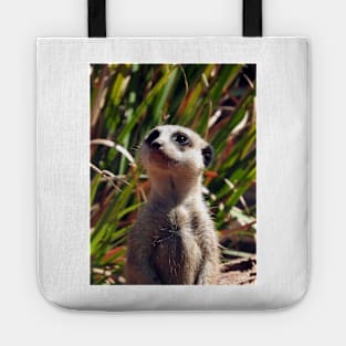 Meerkat Tote