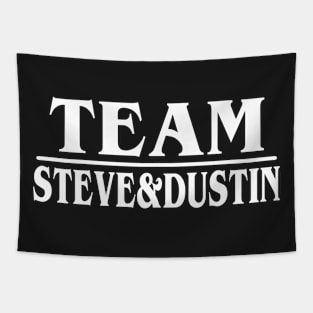 Stranger Things. Steve and Dustin. Tapestry