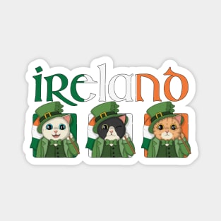 Cute Cats Flag Of Ireland Magnet