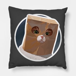 Bagcat round Pillow