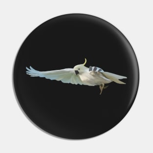 Cockatoo Pin