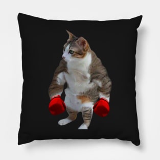 cat shitpost meme, funny memes Pillow