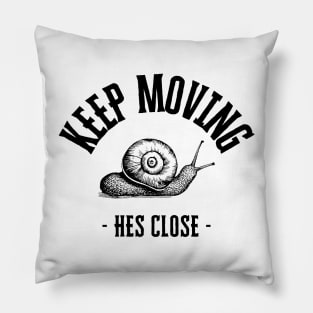 Escaping the Snail’s Pace Pillow