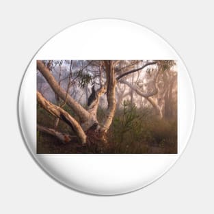 Australian Bush In Fog Pin