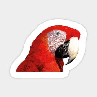 The scarlet macaw (Ara macao) Magnet