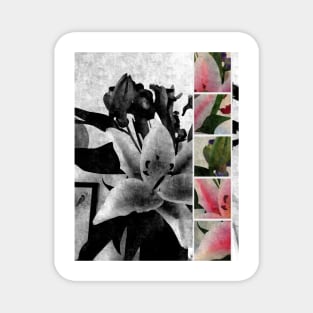 Wild Lilies Magnet