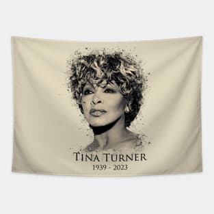 RIP Tina Turner Tapestry