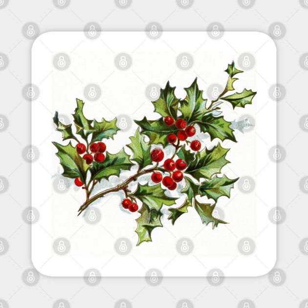 Holly Berries 001 Magnet by JAMFoto