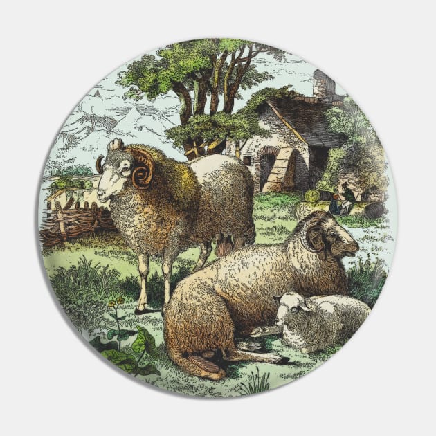 Farm Animals Country Life Illustration Pin by Biophilia