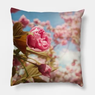 sakura garden Pillow