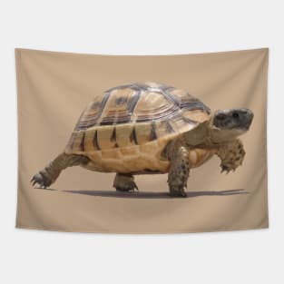 Marching Baby Tortoise Cartoon Vector Isolated Tapestry