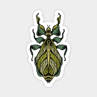 Insect 1 Magnet