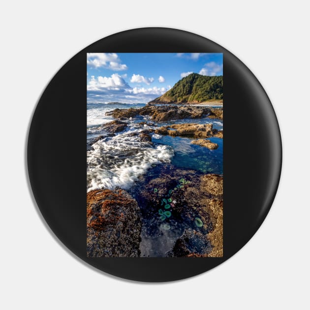 Happy Tide Pools Pin by JeffreySchwartz