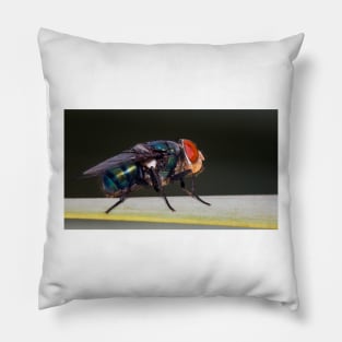 Fly Pillow