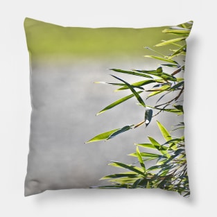 Bamboo Leaves Border Pillow