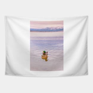 Mallard Ducks on Winter Sunset Lake Tapestry