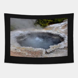 Nouvelle Zélande - Rotorua, Te Puia Tapestry