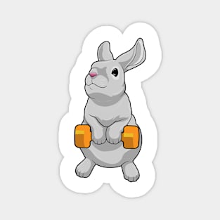 Rabbit Fitness Dumbbell Magnet