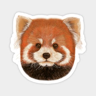 Red panda Magnet