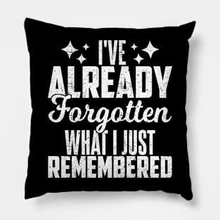 I've Already Forgotten What I Just Remembered Pillow