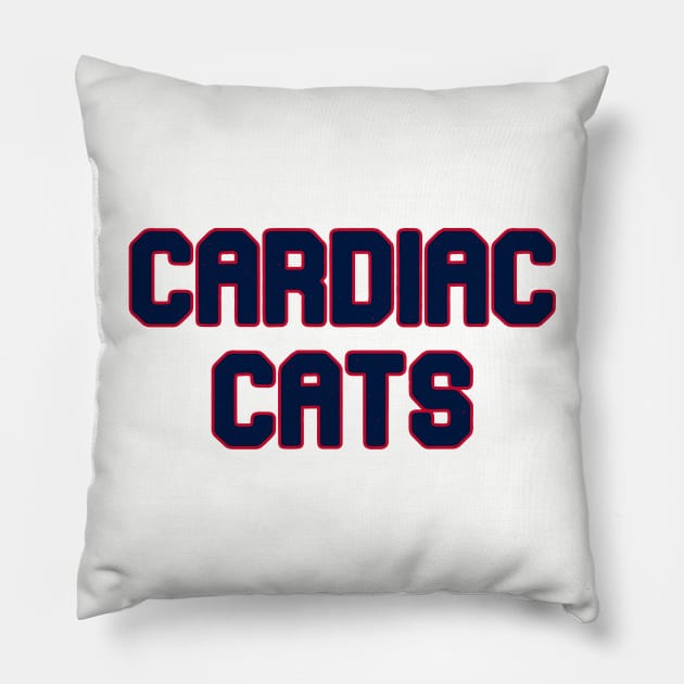 Florida Panthers Pillow by Pretty Good Shirts