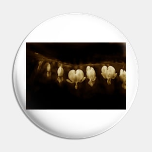 bleeding hearts/sepia Pin